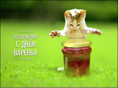 25115406_funky_happy_birthday1.jpg